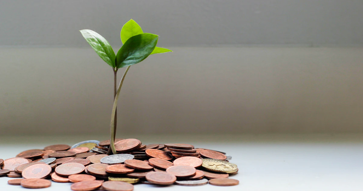 foundered - achieve financial independence